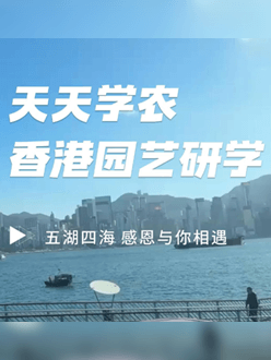 与香港园艺学会联合举办香港园艺研学，专业园境师带队讲解。